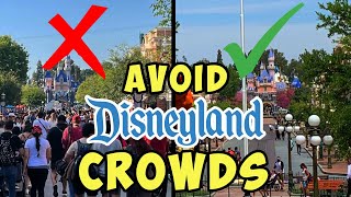 Least Crowded Times to Visit Disneyland When to Visit in 2024 [upl. by Assilrac]