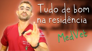 5 Vantagens de fazer residência veterinária  Residência 2 [upl. by Habeh]