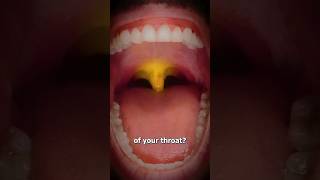 What is this hanging thing inside the throat  shorts viralvideo 3danimation [upl. by Postman]