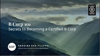 B Corp Certification 101  Everything You Need to Know [upl. by Frodeen]