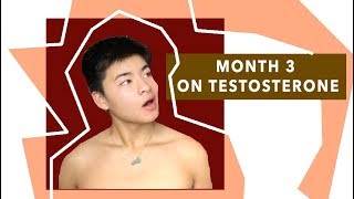 MONTH 3 ON TESTOSTERONE [upl. by Saylor727]