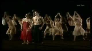 Pina Bausch Wuppertal Dance Theater Le Sacre Du Printemps [upl. by Devlen739]