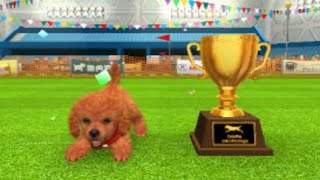 Nintendogs  Cats Episode 1 Pastina the Champion Toy Poodle [upl. by Dulsea]