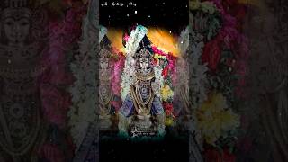 muruganwhatsappstatustamil trendingmurugantemple 90shindisongs90slovesongRajukuttyEditz [upl. by Siwel]