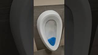 double edge urinal [upl. by Paik571]