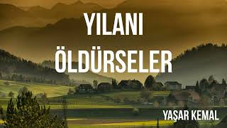 Yılanı Öldürseler Yaşar Kemal sesli Kitap [upl. by Yerdua]