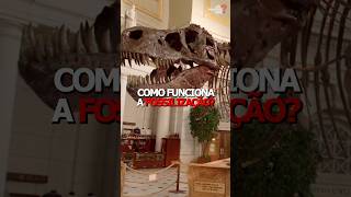 Como funciona a fossilizaçāo [upl. by Yadseut]