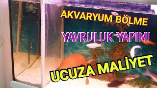 Sineklik ile akvaryum bölme nasıl yapılır [upl. by Daffi]