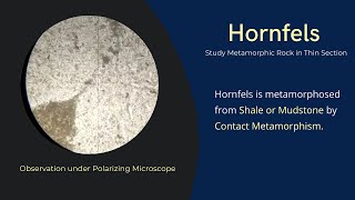 Hornfels metamorphic rock under microscope  Thin Section petrography optical mineralogy study [upl. by Zacek]