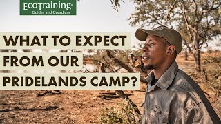 Have you ever wondered what EcoTrainings Pridelands camp offers  EcoTraining [upl. by Ringe]