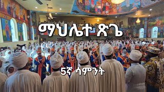 ማህሌተ ጽጌ 5ኛ ሳምንት Mahelete Tsige 5th week [upl. by Crescen]