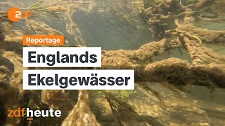 Sch im Wasser Abwasserkrise in England  auslandsjournal [upl. by Aihsat128]