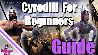 ESO Ultimate Beginners Guide to Cyrodiil [upl. by Fording]