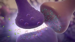 Glutamate Modulation  MOA Animation [upl. by Daryle324]