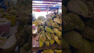 Lot of Giant Durian Cutting in Thailand Thai Street Food [upl. by Scoville]