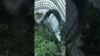 Biodome Gardens by the bay Cloudforest Singapore shorts [upl. by Nathanoj]