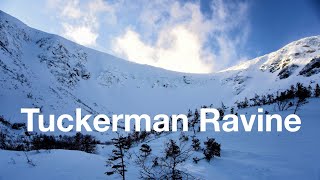 Skiing Tuckerman Ravine in February  Right Gully [upl. by Fidellas]