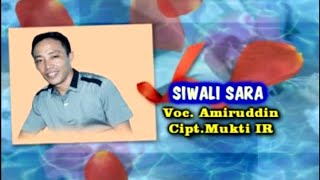 Amiruddin  Siwali Sara Karaoke HD [upl. by Valentijn]