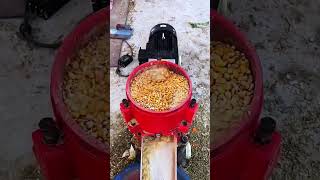 Electric poultry chicken feeds grass pellet making machine diesel cattle pelletizer machine [upl. by Oalsinatse]