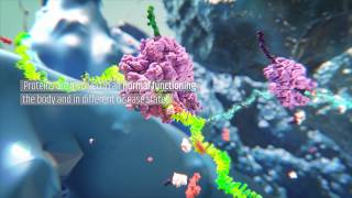 Random42 Science in Motion  Ribosomes [upl. by Sirrad693]