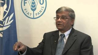 FAO DirectorGeneral meets MA Mannan Minister of State of Finance of Bangladesh [upl. by Anoli]