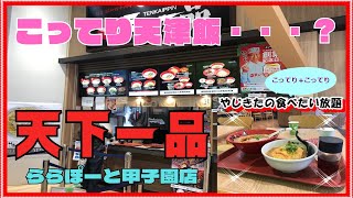 【西宮 グルメ】天下一品 ららぽーと甲子園店 【関西 兵庫】 [upl. by Azirb]