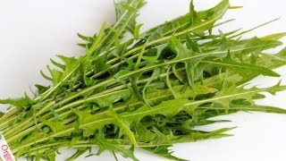 Dandelion Greens 101  how to cook dandelion greens [upl. by Nahguav810]