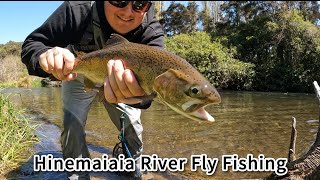 Hinemaiaia River Fly fishing [upl. by Edmon743]