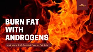 Burn Fat With Androgens  Powerful Subliminal [upl. by Ykroc]