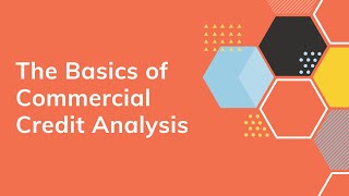 The Basics of Commercial Credit Analysis [upl. by Assillam]