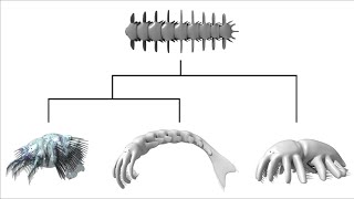 Alien Biospheres Part 3  Cladistics and Ecology [upl. by Rednaeel822]