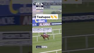 Teahupoo Triumphs in Punchestowns Select Hurdle [upl. by Mairim]