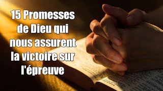 15 versets Bibliques 15 promesses de Dieu qui nous assurent la victoire sur l’épreuve [upl. by Danielle547]