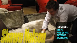 HOW TO MAINTAIN YOUR SACTIONALS BACK PILLOWS  Shawn Nelson  CEO of LOVESAC [upl. by Melgar]