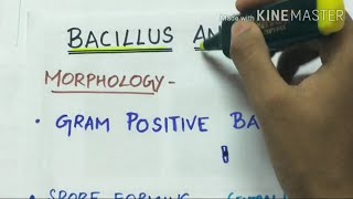 bacillus anthracis  microbiology handwritten notes [upl. by Ken264]