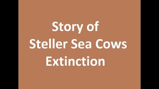 From Ice Age to Extinction  Story of Steller Sea Cows ocean sea wildlife facts seacow fact [upl. by Greenlee]