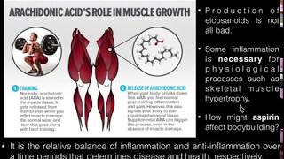 PUFAs Basics of Arachidonic Acid and its Metabolism [upl. by Dania]