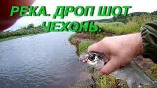 РЕКАДРОП ШОТЧЕХОНЬRIVERTHE DROP SHOTSABREFISH [upl. by Fletch768]