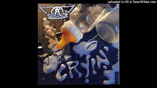 Aerosmith  Cryin Extended 1993 [upl. by Bartley955]