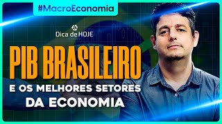 O que o PIB nos fala sobre OS MELHORES SETORES da economia [upl. by Buyse]