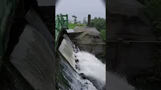 Mawsynram nature naturephotographylovers trending mawsynram water reel [upl. by Aynotak]