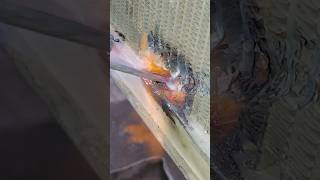 Radiator tube weldingyoutubeviralvideo viralshorts youtubeshorts radiator carradiatorshorts [upl. by Enajharas54]