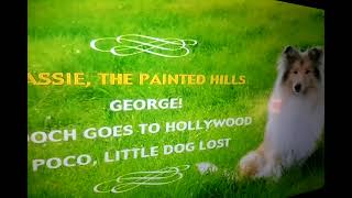 Opening to Lassie The Painted Hills DVD from PopFlix Allegro Corporation [upl. by Aneelahs]