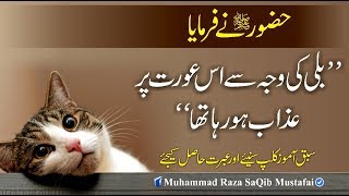 Muhammad Raza SaQib Mustafai  HUZOOR Ne Farmaya Billi Ki Waja Se Is Orat Pr Azaab Ho Raha Tha [upl. by Alic]