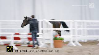 135 EliteAuktion am 13 OktoberNr 69 Creed v Clintons Heart  Earl [upl. by Terriss]