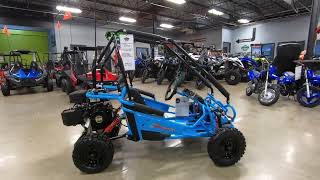 New 2024 Hammerhead OffRoad HH Torpedo GoKart For Sale In Port Richey FL [upl. by Jonina]