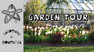 Celebration of April Garden Tour  Tulips  Tips for Hiding Bulb Foliage  Newly Planted Bed [upl. by Rockefeller587]