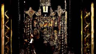 VENKATESWARA SWAMY VIDEO Tirumala Balaji Original Video RARE VIDEO OF BALAJI [upl. by Adaj]