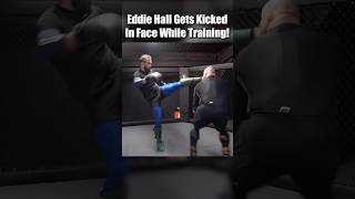 Eddie Hall Gets Kicked In Face While Training mma [upl. by Goldarina]