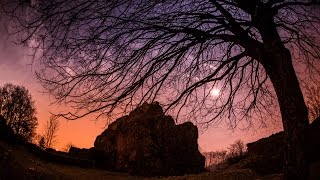 Ancient Ruin under Tree Protection  Ruine Froburg Trimbach Switzerland TIMELAPSE [upl. by Gildea827]